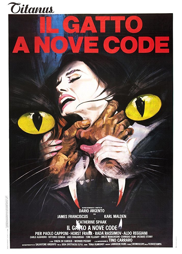 il gatto a nove code