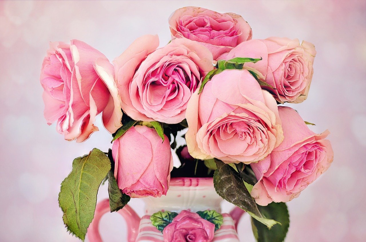 rose fiori vaso
