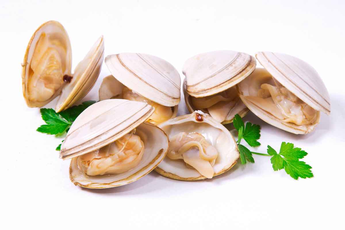 Vongole: come pulirle