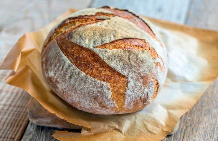 pane frigo