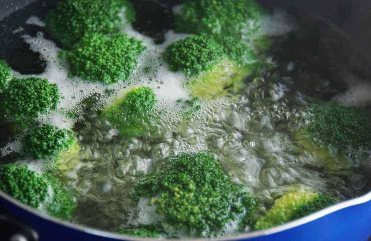 broccoli lessati