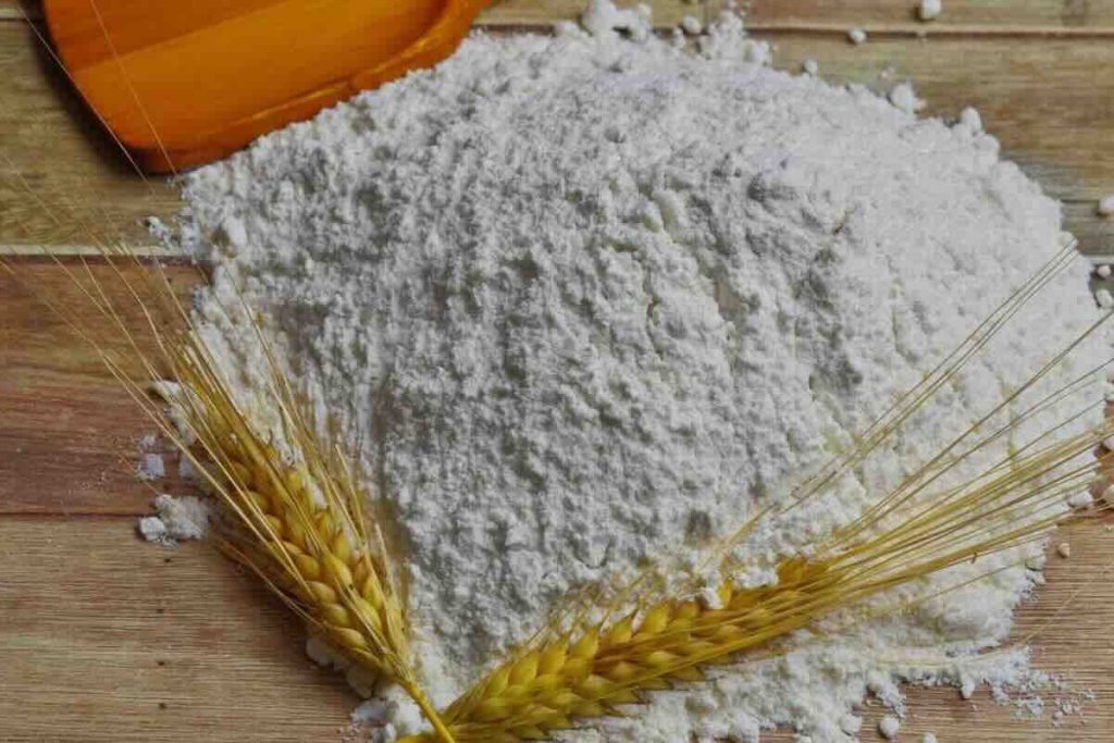 Insetti nella farina: un problema molto comune