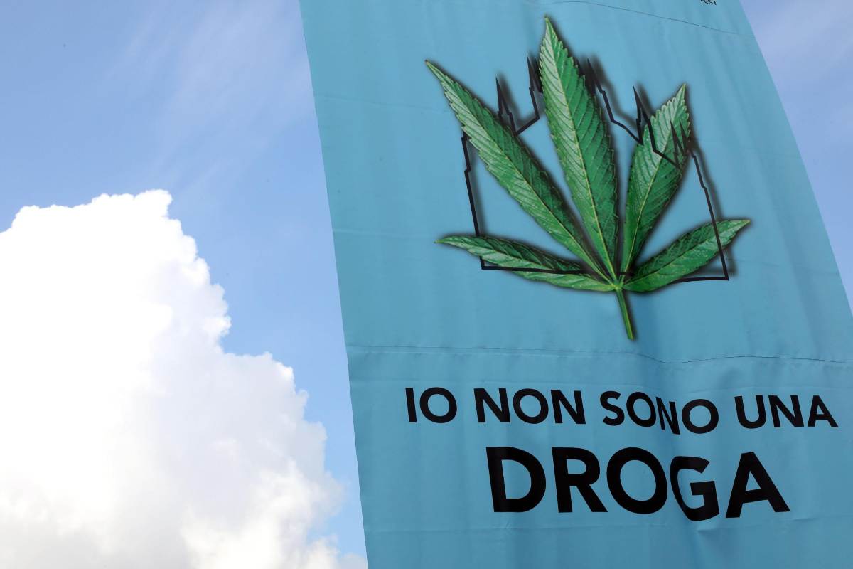 Cannabis distribuita a tutti a Milano