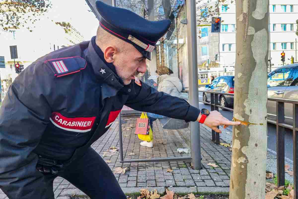 Condannati i responsabili del cavo d'acciaio per strada