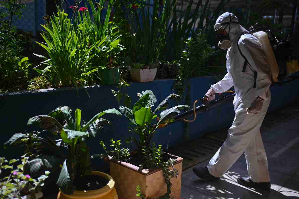 È arrivata la Dengue a Legnano