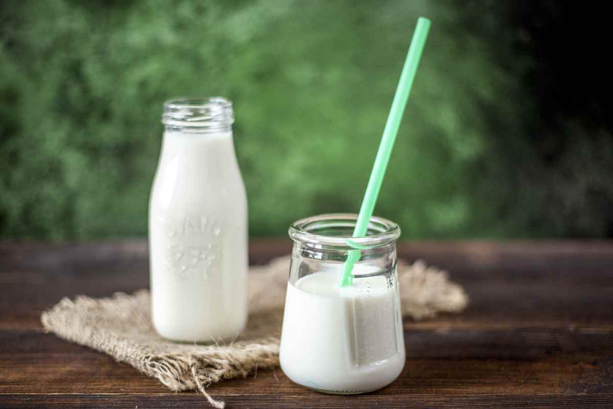  Cascina Campazzo Latte e yougurt freschi 