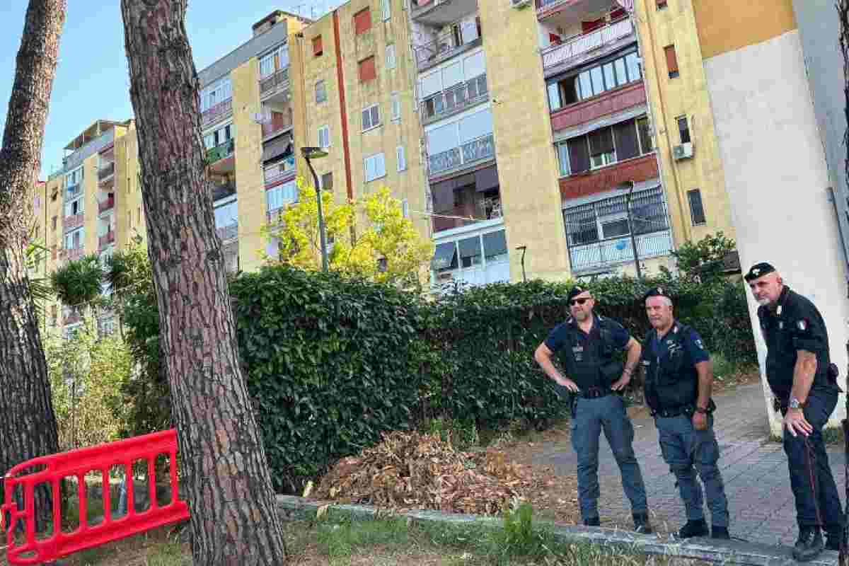 Violenza al parco