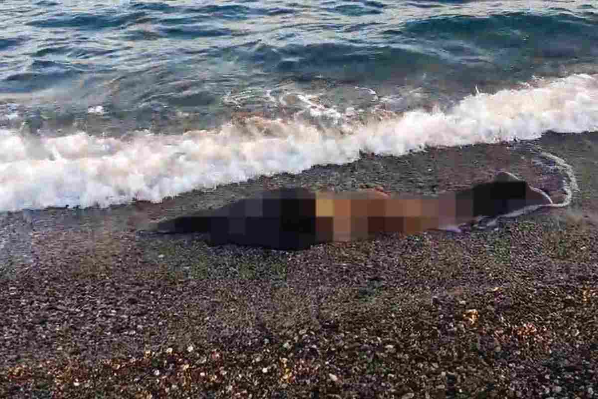 Trovato il cadavere di un uomo in mare