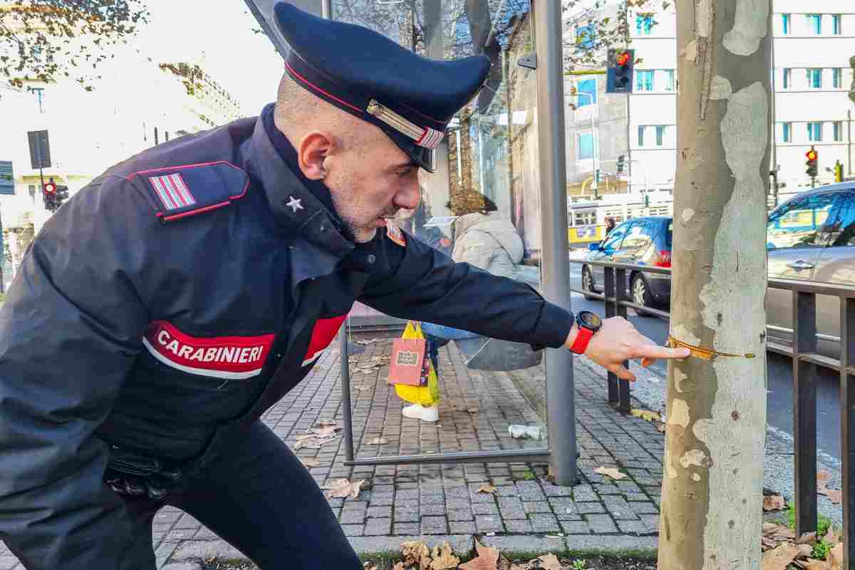 Tende un cavo in mezzo alla strada