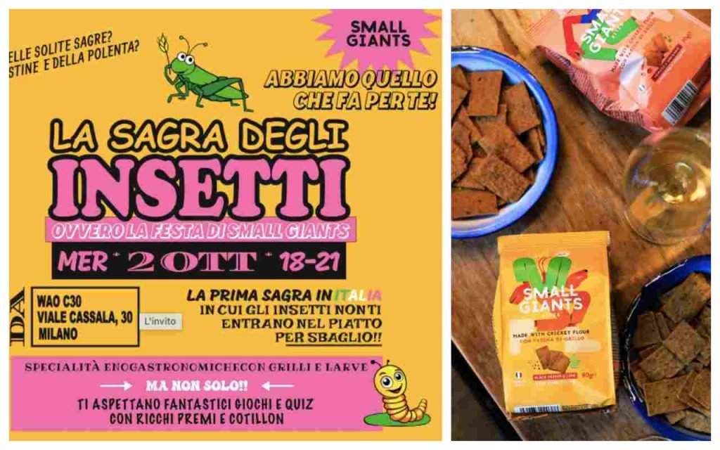 sagra degli insetti