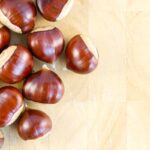 Castagne