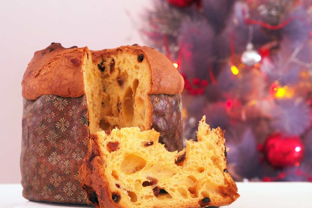 Panettone