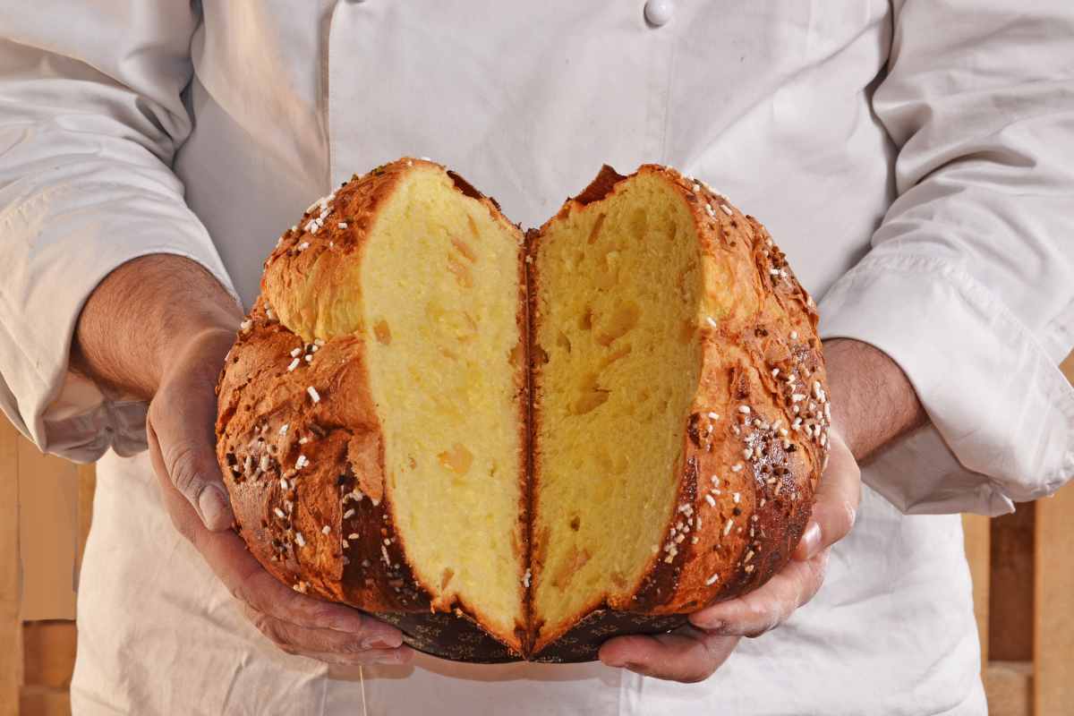 Panettone