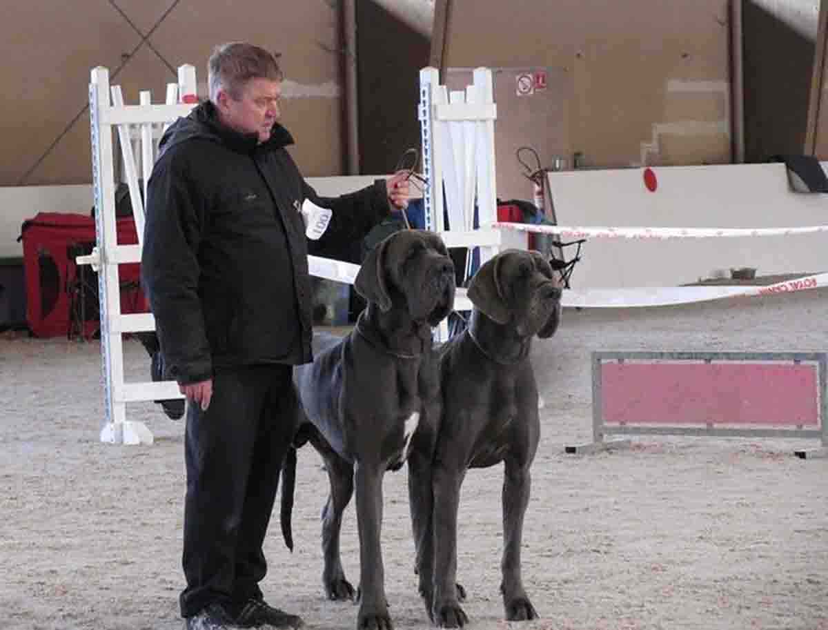 Patrizio Donati Veterinario