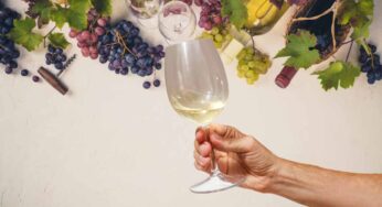 Vino naturale a Milano | I migliori wine bar da provare in città