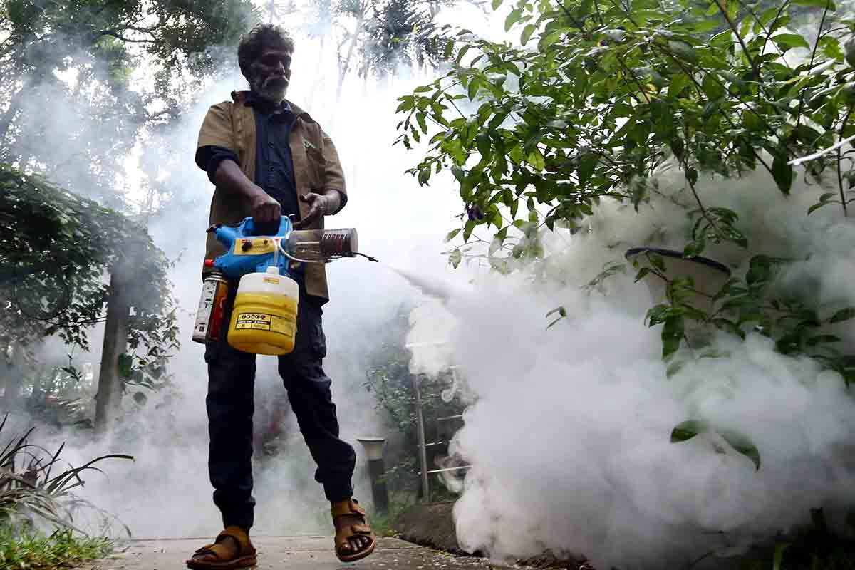 Virus West Nile