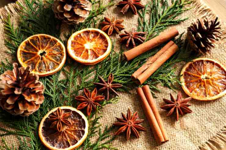 Delle pigne delle fette di arancia secche e dei rami di pino per fare un decoro natalizio