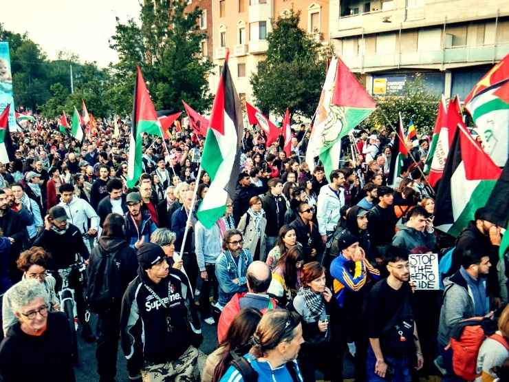 Una manifestazione pro Pal a Milano