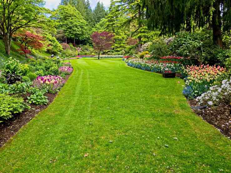 giardino con fiori 