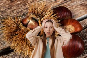 Sullo sfondo delle castagne e dei ricci di castagna ed una persona in primo piano preoccupata