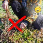 sfondo persona strappa erbacce dal giardino X rossa e lampadina