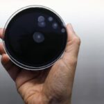 I batteri della legionella