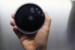 I batteri della legionella