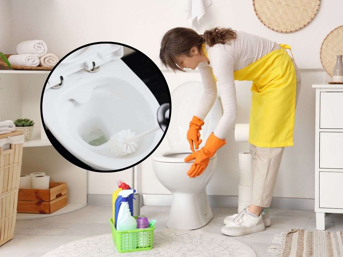 sfondo donna che pulisce wc e tondo con wc igienizzato