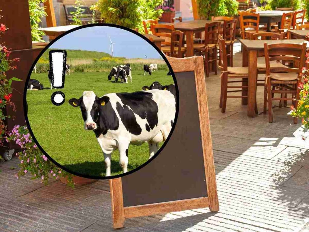 sfondo agriturismo e tondo con mucche e punto esclamativo