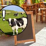 sfondo agriturismo e tondo con mucche e punto esclamativo