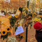 Il campo da basket di via Dezza a Milano inondato di girasoli