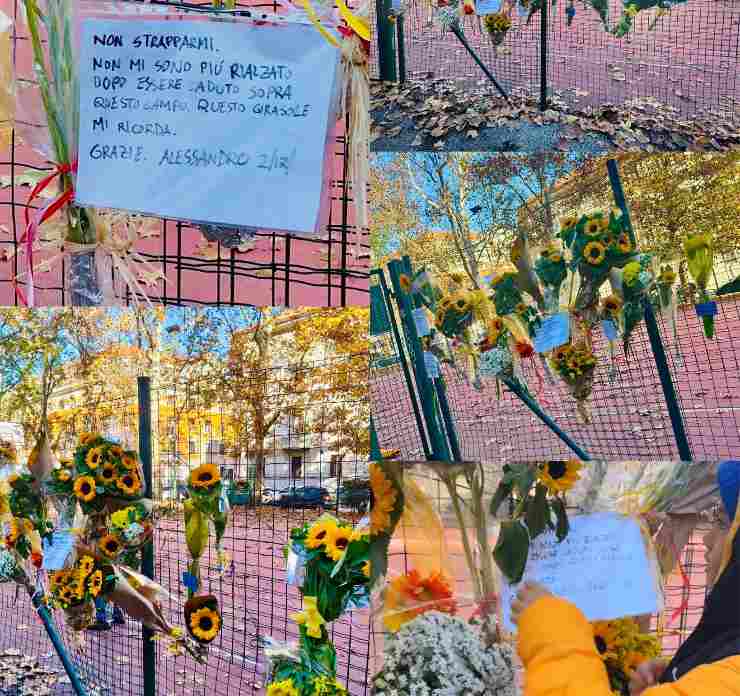 Una marea di girasoli attorno al campo di via Dezza