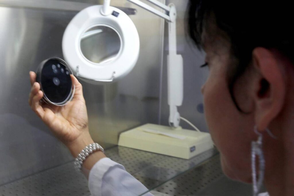 Una dottoressa mentre analizza alcuni campioni