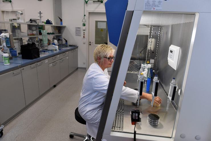 Un laboratorio mentre cerca di analizzare i campioni di batteri della legionella