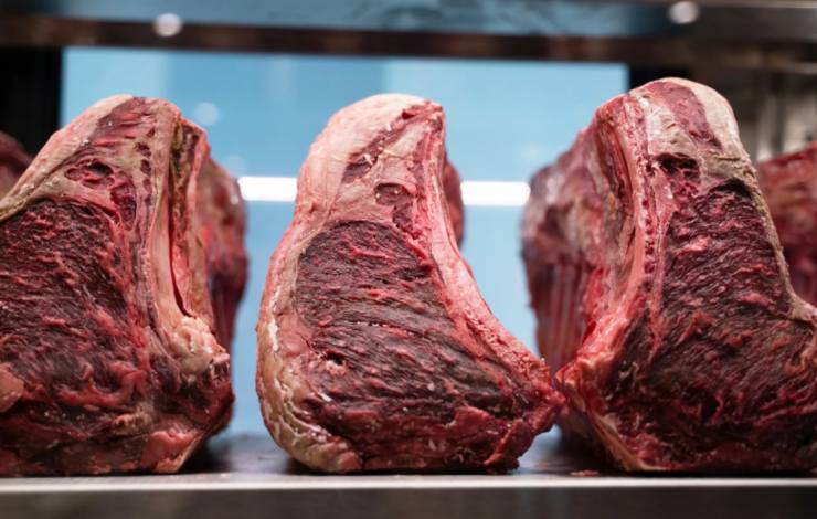 pezzi di carne scura