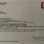 La Carta d'Identità Cartacea Dice Addio: Dal 3 Agosto 2026 Non Sarà Più Valida