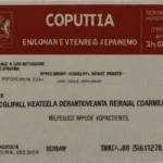 Estensione della Validità delle Carte d'Identità Cartacee fino al 3 Agosto 2026: Comunicazione Importante dal Comune