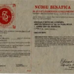 La Carta d'Identità Cartacea Dice Addio: Dal 3 Agosto 2026 Non Sarà Più Valida