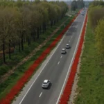 Attivazione delle Telecamere sui Semafori di Via Lomellina e Viale Lombardia dal 20 Aprile: Sanzioni per Chi Ignora il Rosso